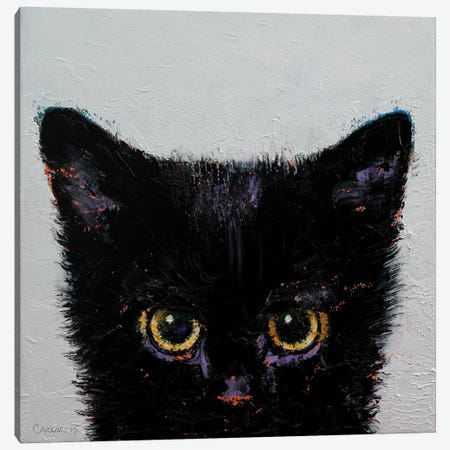 Black Kitten Canvas Print #MCR17} by Michael Creese Canvas Wall Art