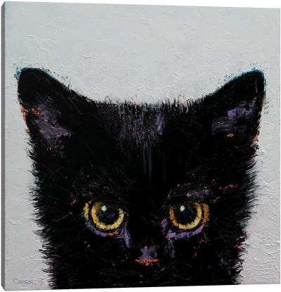 Black Kitten Canvas Art Print - Cat Art