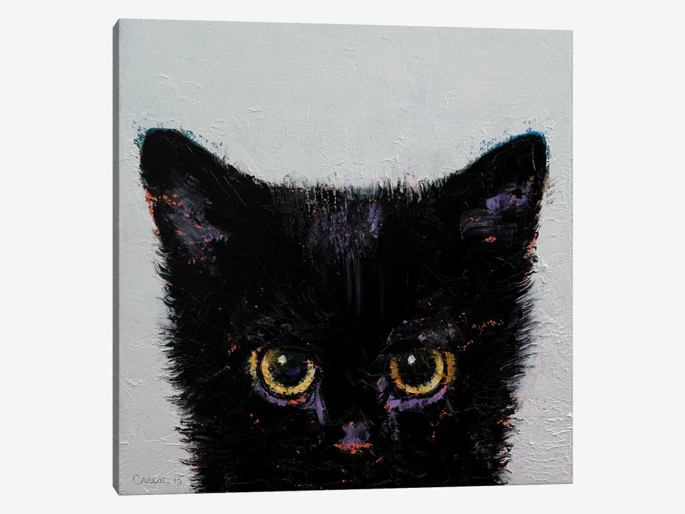 Black Kitten by Michael Creese 1-piece Canvas Print