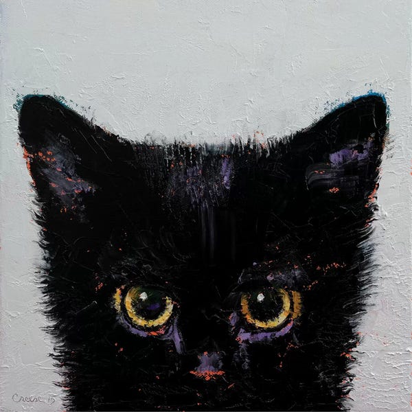 Kittens: Black Kitten by Michael Creese