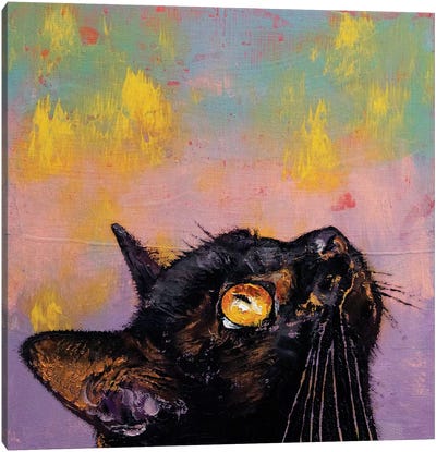 Fixed Gaze  Canvas Art Print - Black Cat Art