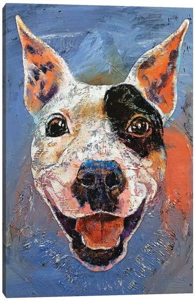 Happy Pitbull  Canvas Art Print - Pit Bull Art