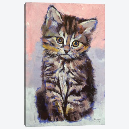 Kitten  Canvas Print #MCR188} by Michael Creese Canvas Art