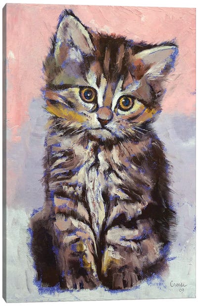 Kitten  Canvas Art Print - Michael Creese