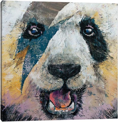 Panda Rock  Canvas Art Print - Panda Art