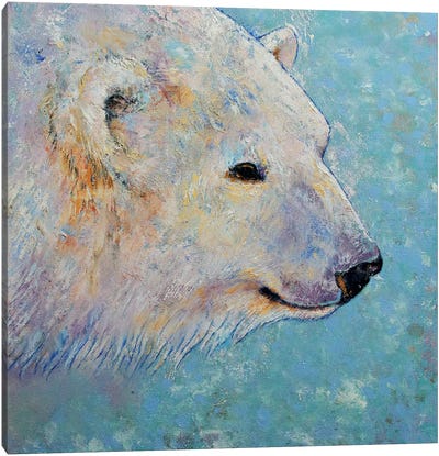 Polar Bear  Canvas Art Print - Polar Bear Art