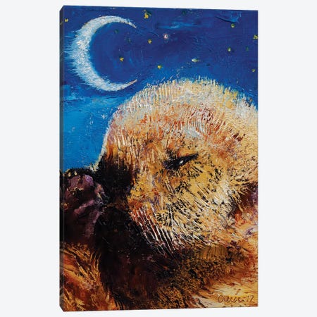Sea Otter Pup  Canvas Print #MCR206} by Michael Creese Canvas Wall Art