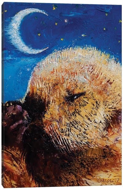 Sea Otter Pup  Canvas Art Print - Otter Art