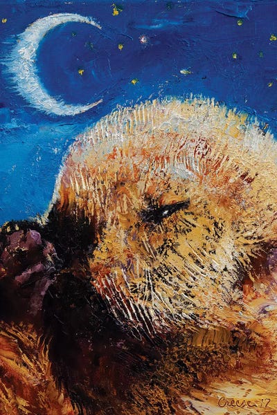 Otters: Sea Otter Pup  by Michael Creese