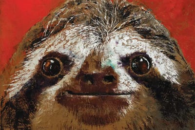 Sloth  by Michael Creese art print