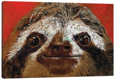 Sloth  Canvas Art Print - Sloth Art