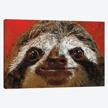 Sloth  Canvas Print #MCR208} by Michael Creese Canvas Print