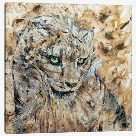 Snow Leopard  Canvas Print #MCR209} by Michael Creese Canvas Art Print