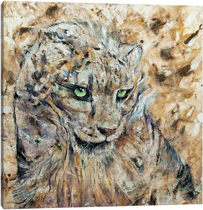 Snow Leopard  Canvas Art Print - Michael Creese