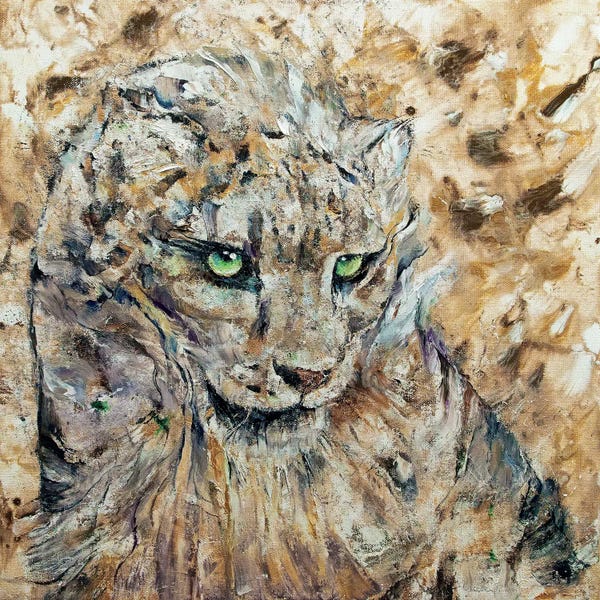 Leopards: Snow Leopard  by Michael Creese