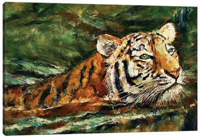Swimming Tiger  Canvas Art Print - Michael Creese