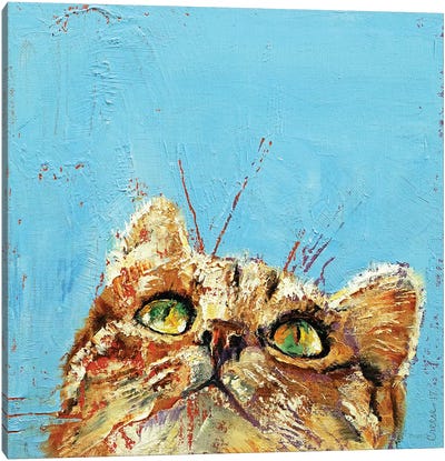 Tomcat  Canvas Art Print - Michael Creese