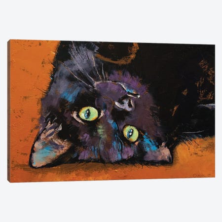 Upside Down Kitten  Canvas Print #MCR214} by Michael Creese Art Print