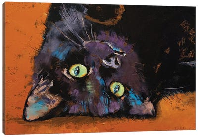 Upside Down Kitten  Canvas Art Print - Michael Creese