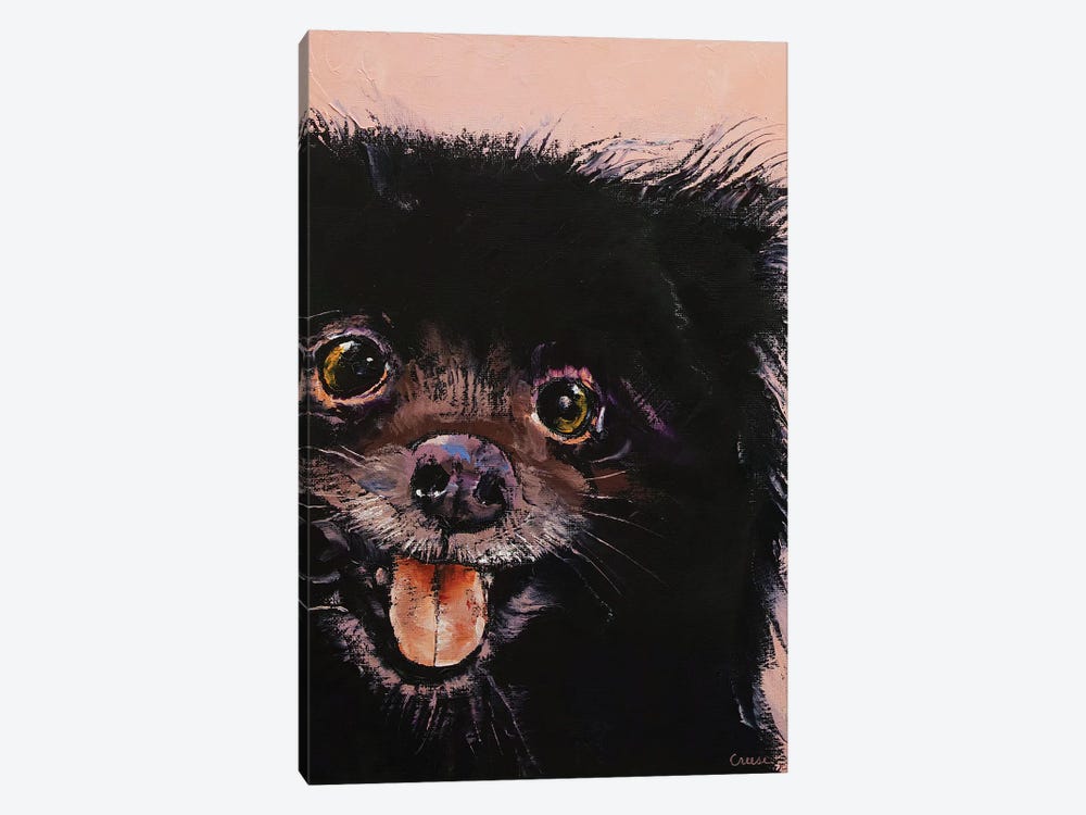 Black Pomeranian by Michael Creese 1-piece Canvas Art