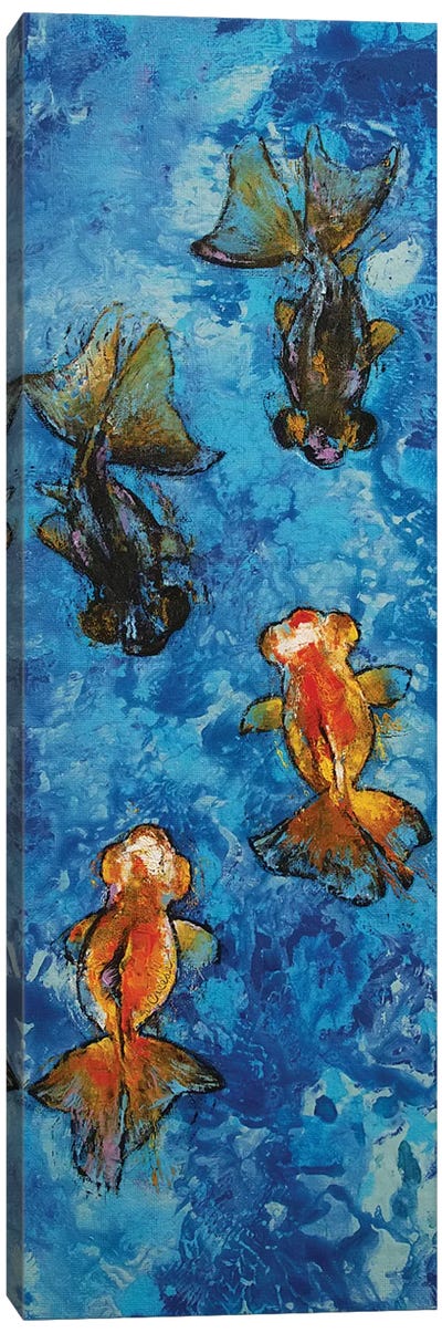 Butterfly Tail Goldfish Canvas Art Print - Goldfish