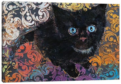 Little Black Kitten Canvas Art Print - Michael Creese