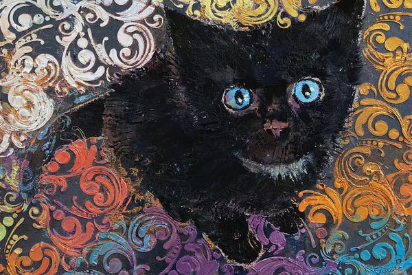 Black Cats: Little Black Kitten by Michael Creese