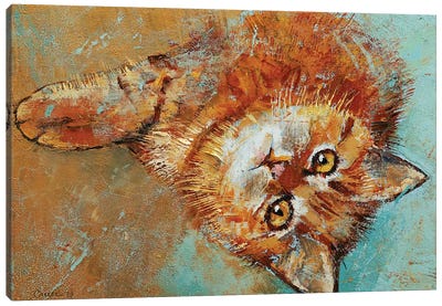 Little Tiger Canvas Art Print - Orange Cat Art