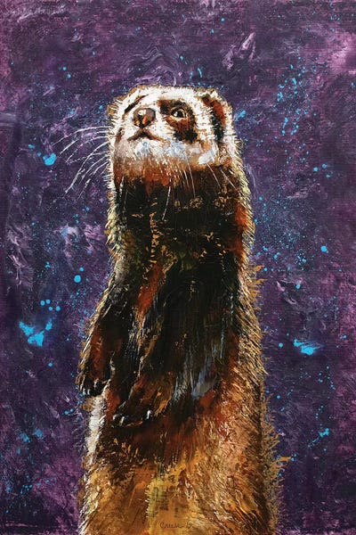 Sable Ferret by Michael Creese art print