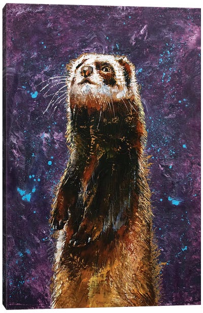 Sable Ferret Canvas Art Print - Ferrets