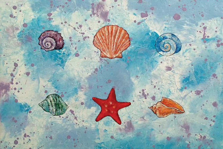 Seashells