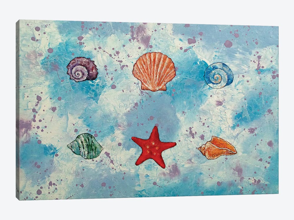 Seashells by Michael Creese 1-piece Canvas Print