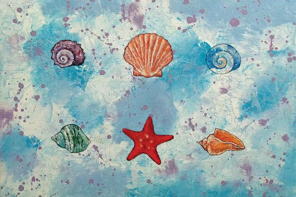 Sea Shells: Seashells by Michael Creese