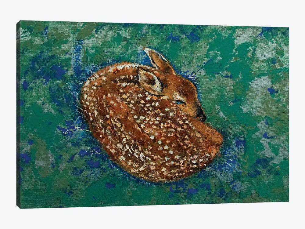 Sleeping Fawn by Michael Creese 1-piece Canvas Wall Art