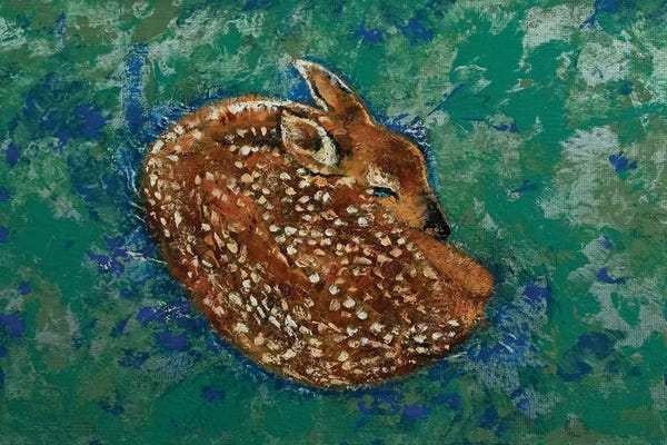 Sleeping & Napping: Sleeping Fawn by Michael Creese