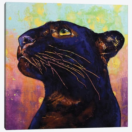 Panther Colors Canvas Print #MCR245} by Michael Creese Canvas Art