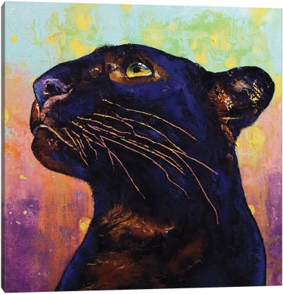 Panther Colors Canvas Art Print - Panther Art