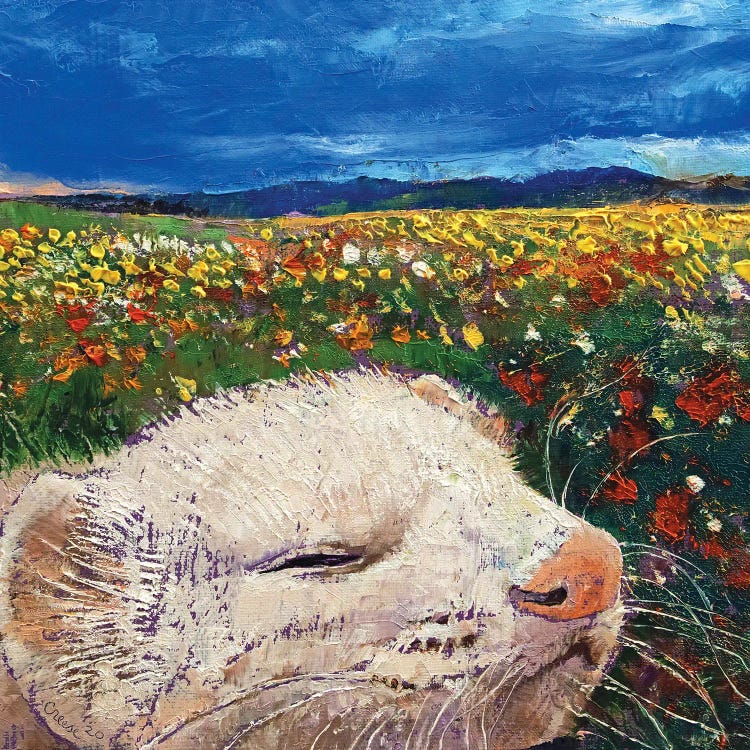 Ferret Dreams by Michael Creese wall art