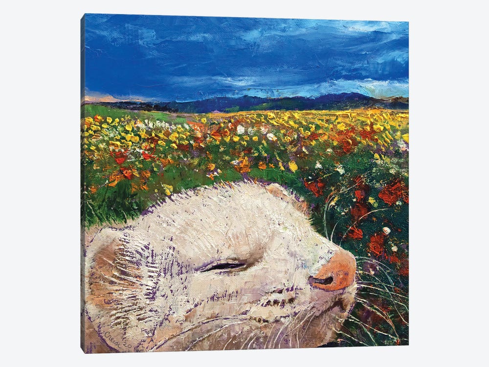 Ferret Dreams by Michael Creese 1-piece Canvas Print