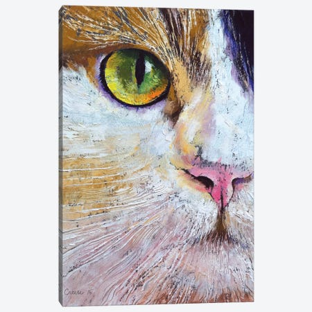 Calico Cat Canvas Print #MCR24} by Michael Creese Art Print