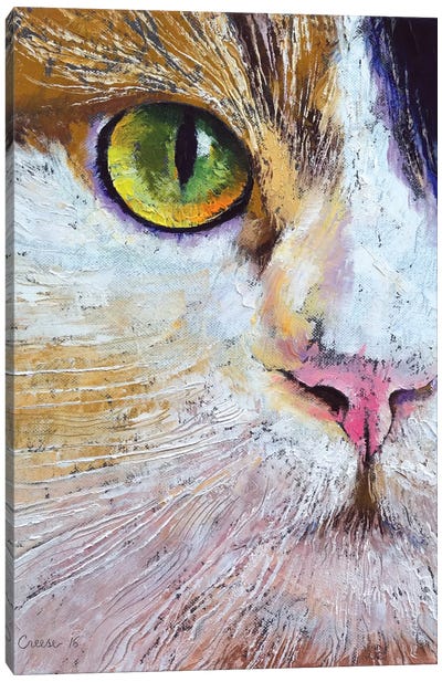 Calico Cat Canvas Art Print - Close-up