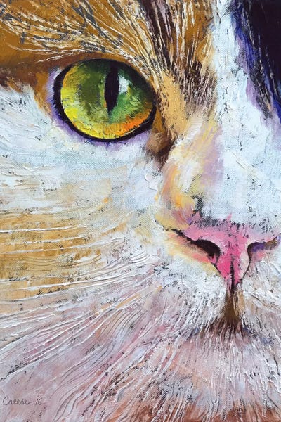 Calico Cats: Calico Cat by Michael Creese