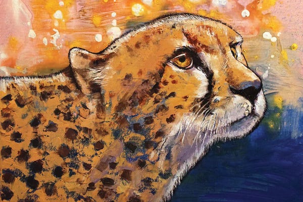 Cheetahs: Cheetah Colors by Michael Creese