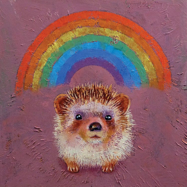 Hedgehog Rainbow