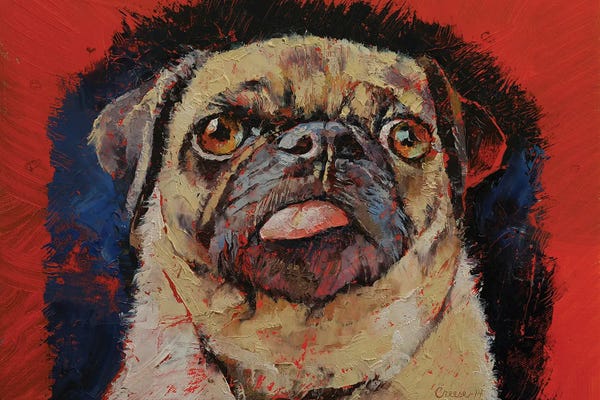 Pugs: Pug Portrait by Michael Creese