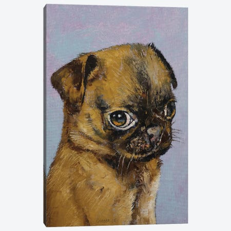 Pug Puppy Canvas Print #MCR257} by Michael Creese Canvas Print