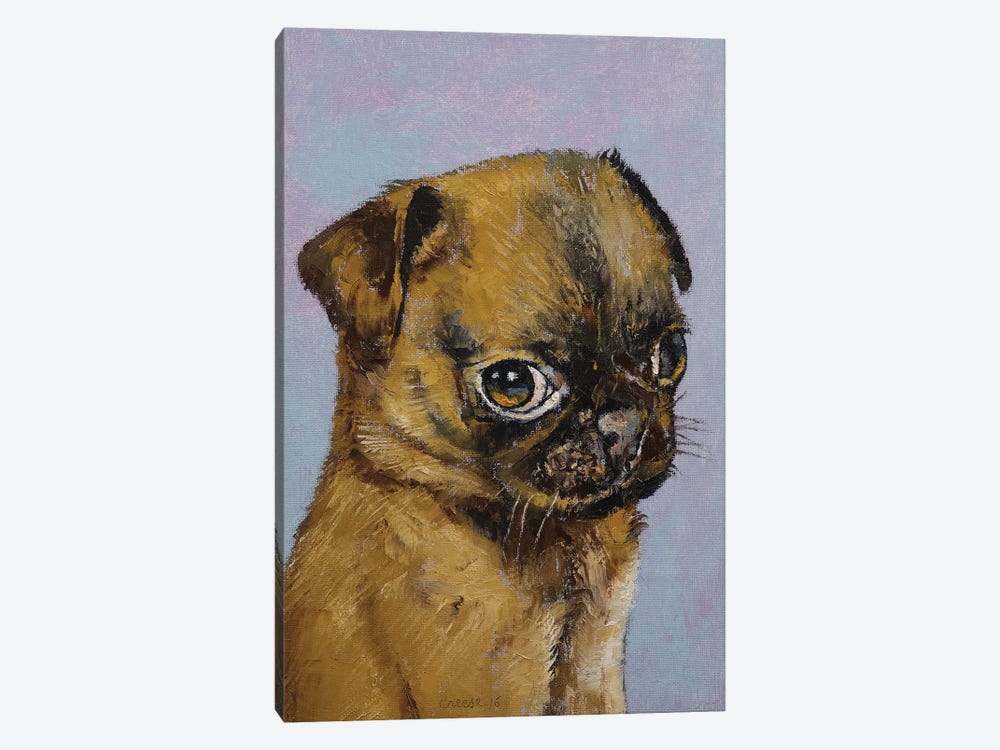 Pug Puppy by Michael Creese 1-piece Canvas Art