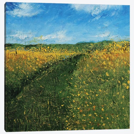 Wisconsin Meadow Canvas Print #MCR263} by Michael Creese Canvas Art Print