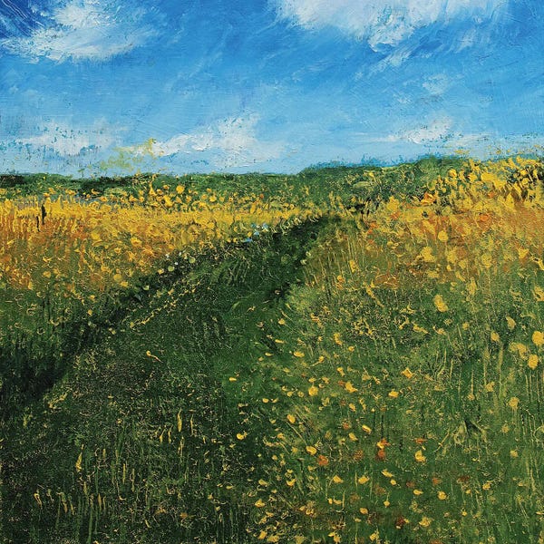 Wisconsin: Wisconsin Meadow by Michael Creese