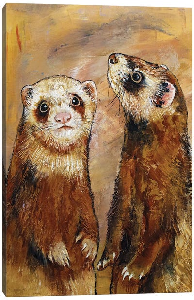 Ferrets Canvas Art Print - Michael Creese